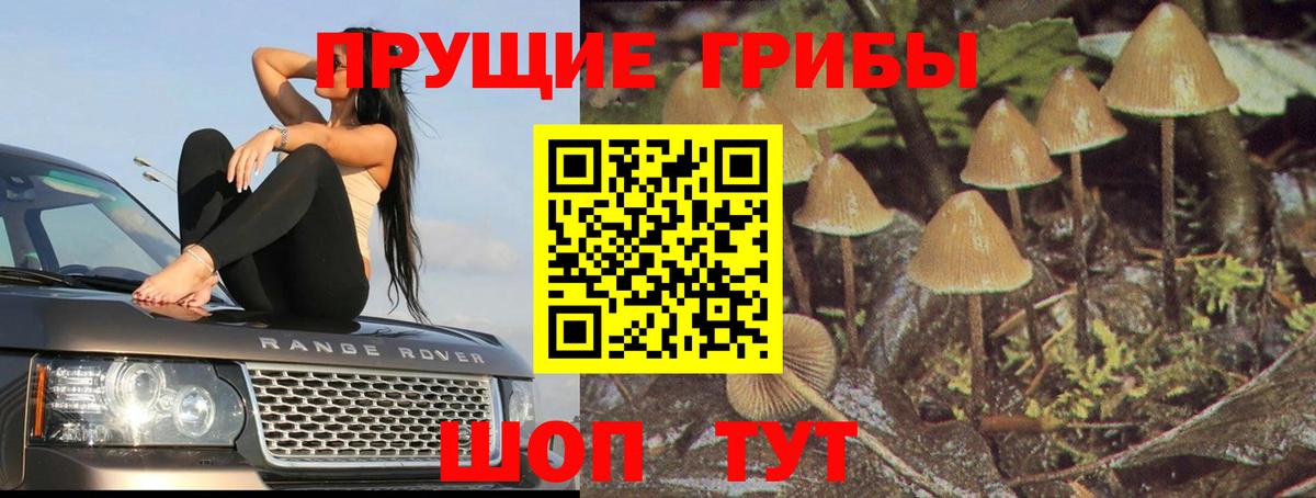 Псилоцибиновые грибы Magic Shrooms Ишимбай